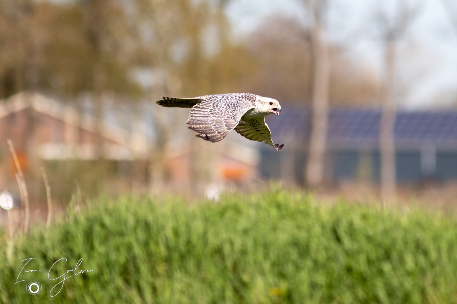 18 april 2022 102747 1DX49568